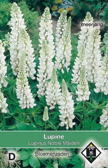 Lupin Noble Maiden (Lupinus) 45 seeds